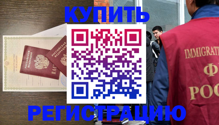 прописка для школы в Волоколамске